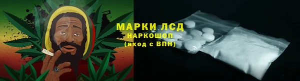 стаф Балахна