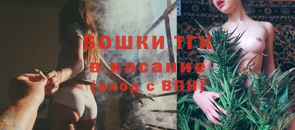 стаф Балахна