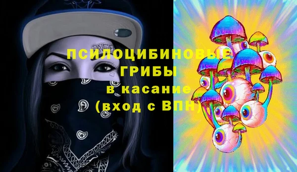 прущие крисы Арсеньев